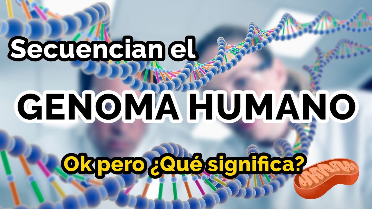 Secuencian el genoma humano completo (ADN 