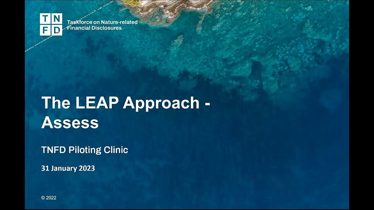 TNFD Piloting Clinic: The LEAP Approach - Assess
