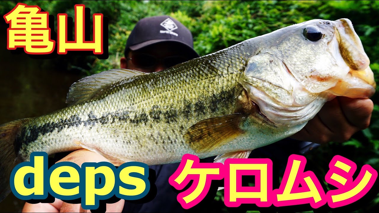 【亀山ダムでバス釣り】夏の虫パターン！デプス・ケロムシでナイスフィッシュ【虫パターン攻略】