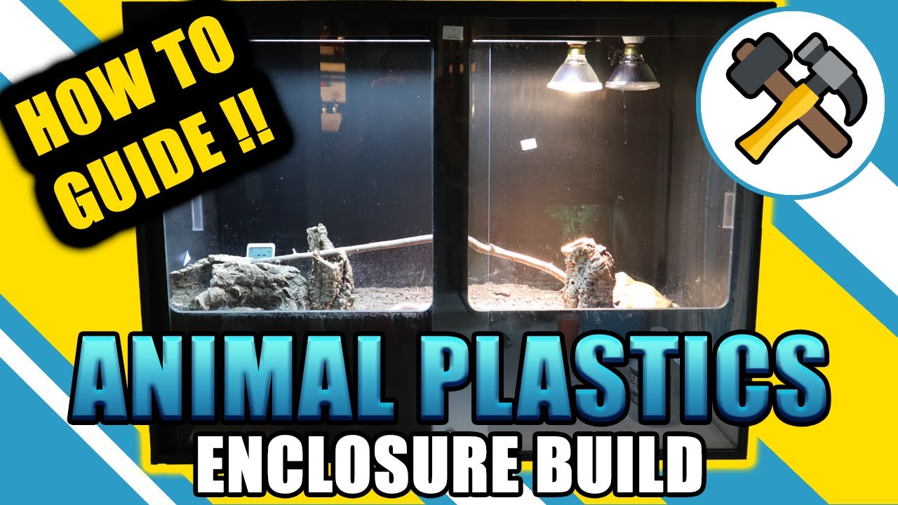 Step-By-Step Animal Plastics Enclosure Build Guide