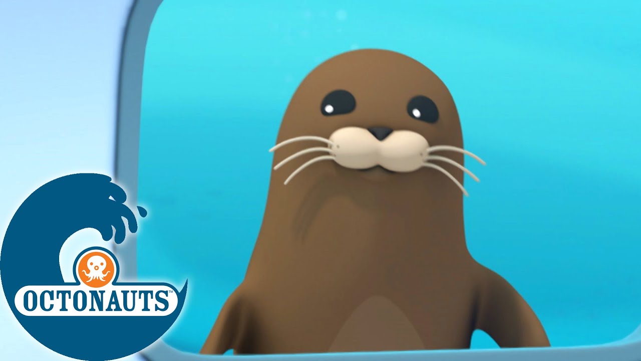 Octonauts - Le Phoque et La Méduse à Crinière de Lion | Dessins animés pour enfants