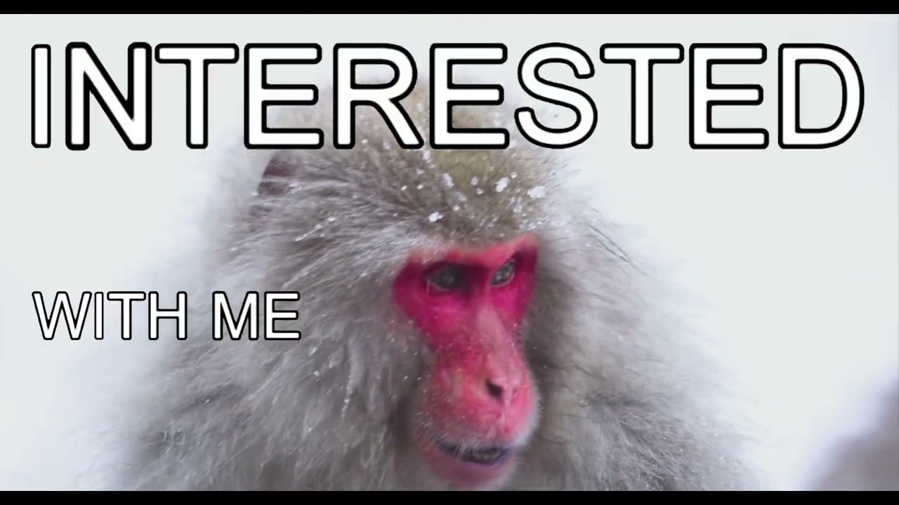 ANIMALTUBE