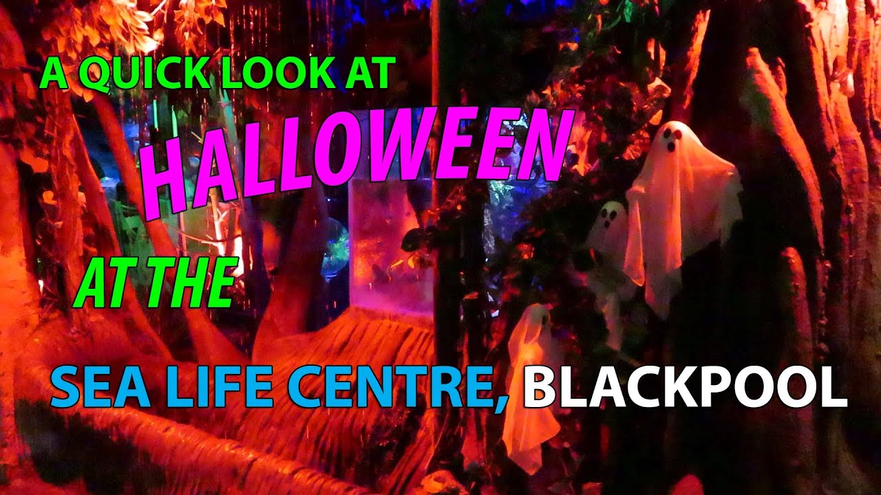 A quick look at Ascarium: Tricks and Treats event, Sea Life Centre, Blackpool. Halloween 2025.