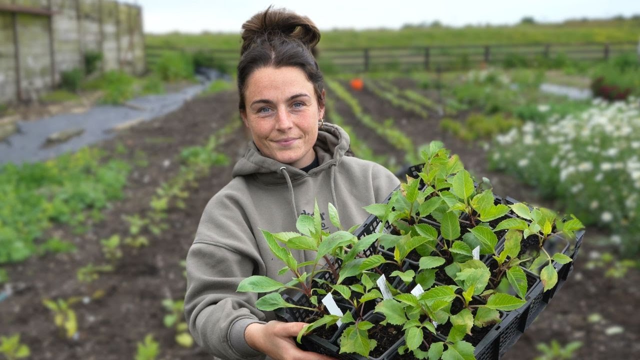 I Spent £1000 on Dahlia Cuttings For My Flower Farm
