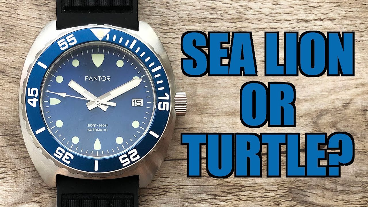 Not Another Diver!? Pantor Sealion Blue Automatic Dive Watch Review - Perth WAtch 