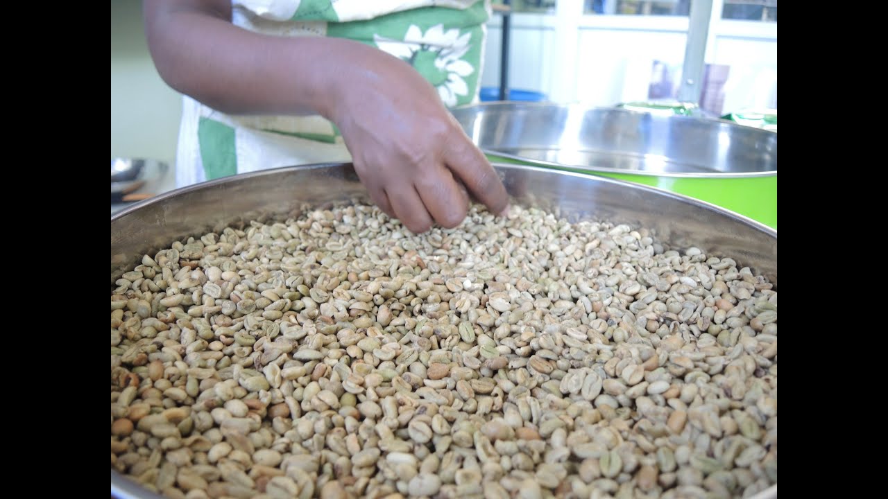Indian investment to lead trade growth in East Africa: SITA project