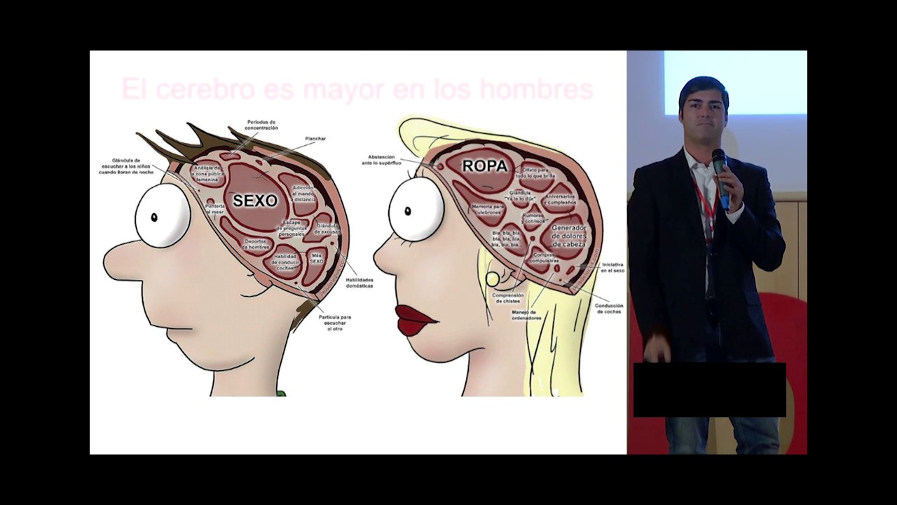 El cerebro de la mujer y el cerebro del hombre | David Díaz | TEDxCalledelaCompañia
