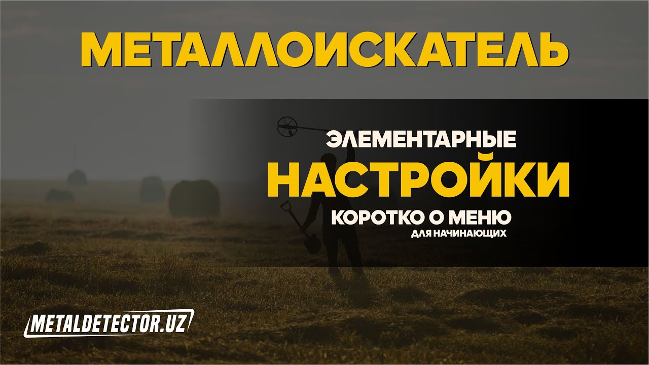 Металлоискатель элементарные функции, настойки для Новичков
