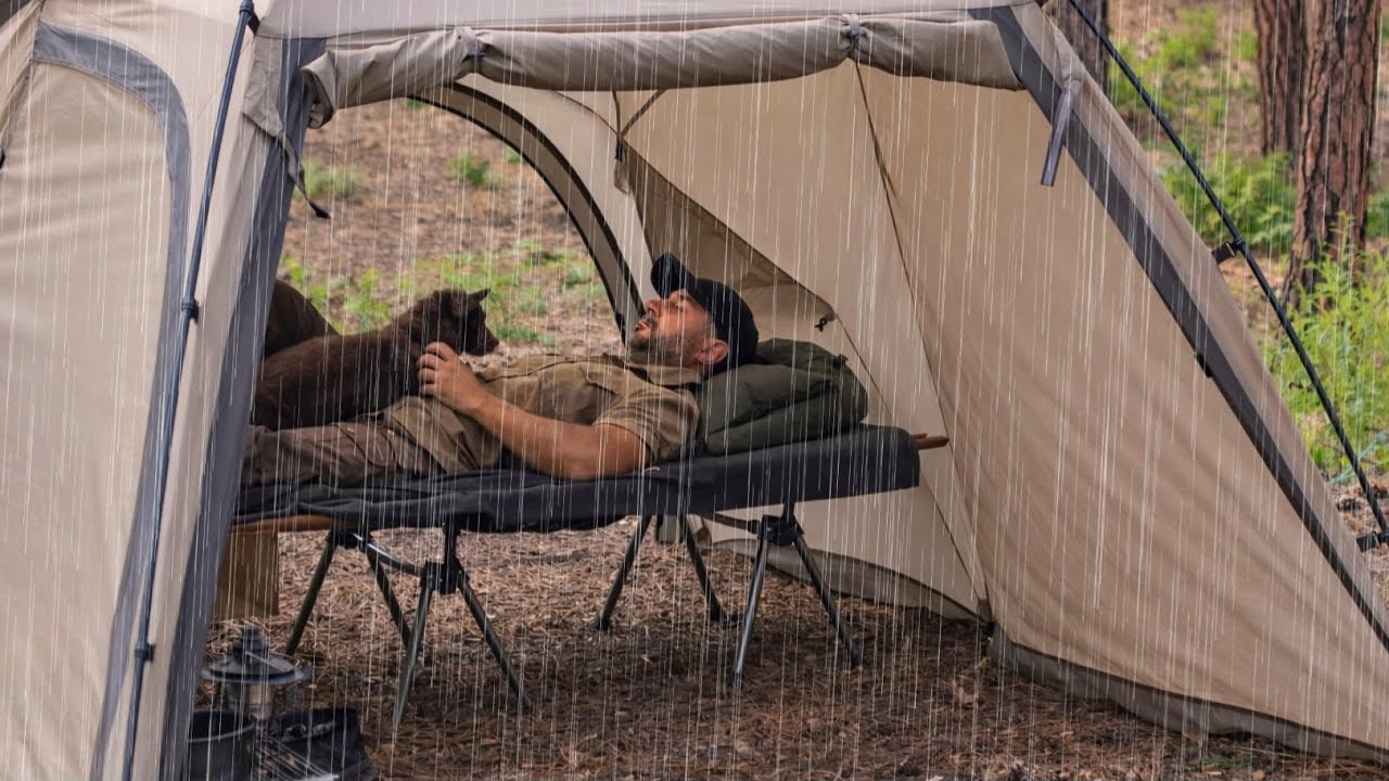 Camping in Heavy Rain Storm with My Dog ( Binge Watching ASMR ) 