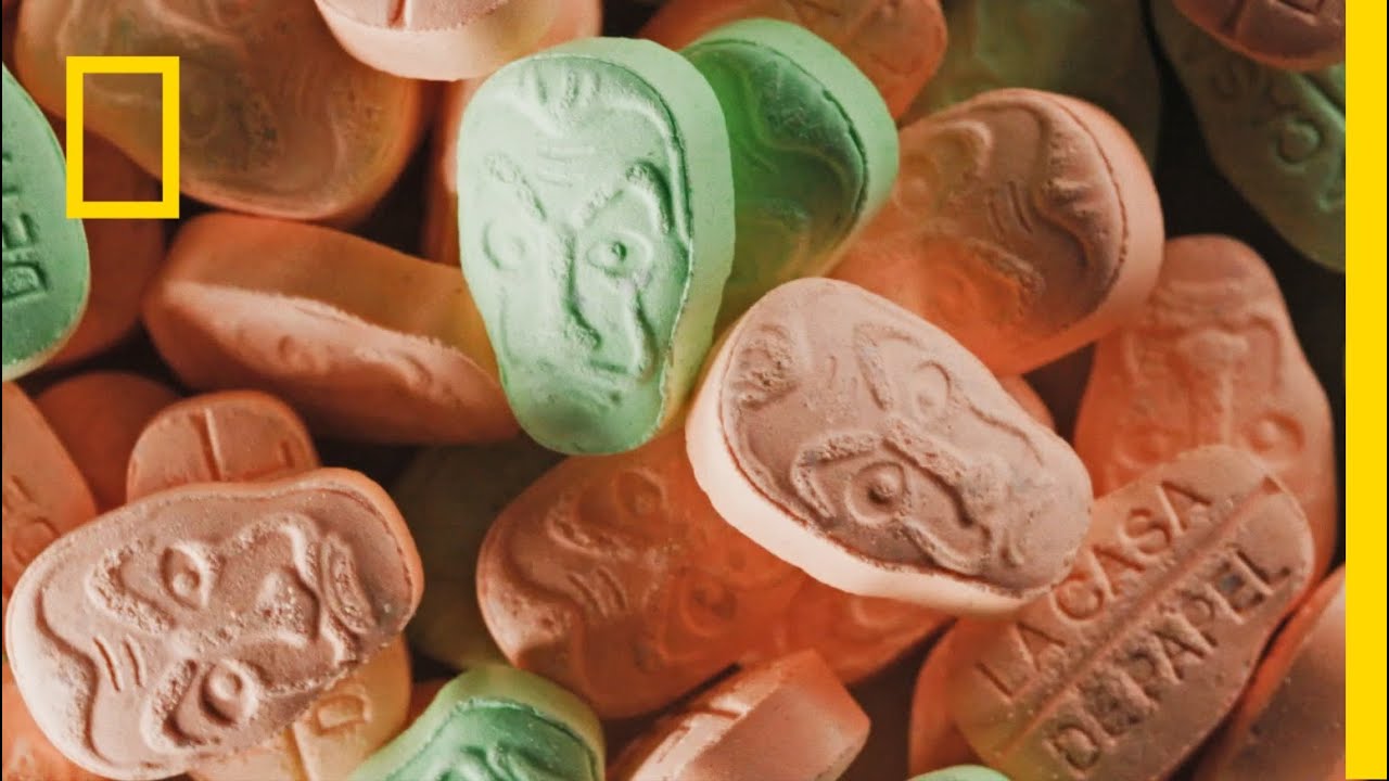 Mariana Van Zeller pokazuje źródło eksportu ecstasy | Ciemna strona świata