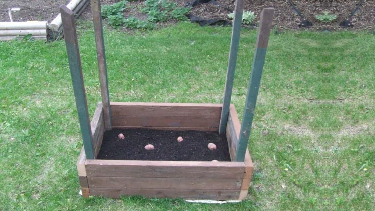 Believe It Or Not, This Potato Tower Can Grow 100 Pounds Of Potatoes