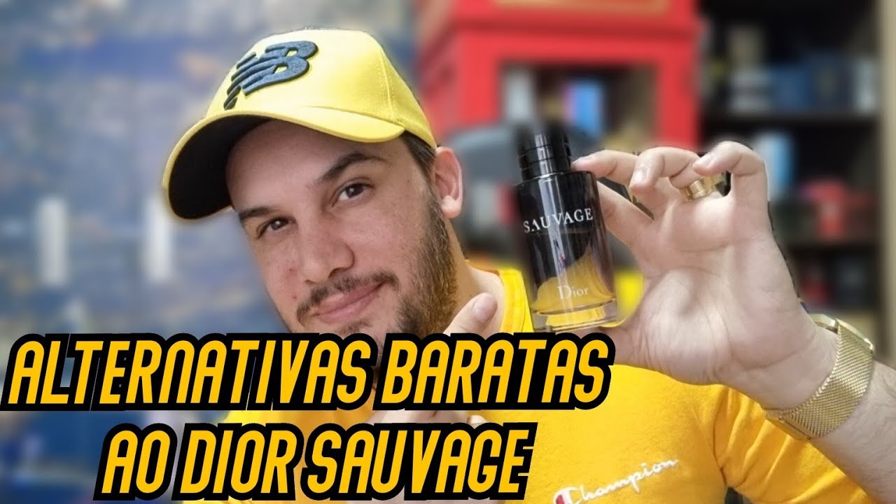 PERFUMES MAIS BARATOS QUE LEMBRAM O DIOR SAUVAGE - NACIONAIS E IMPORTADOS !