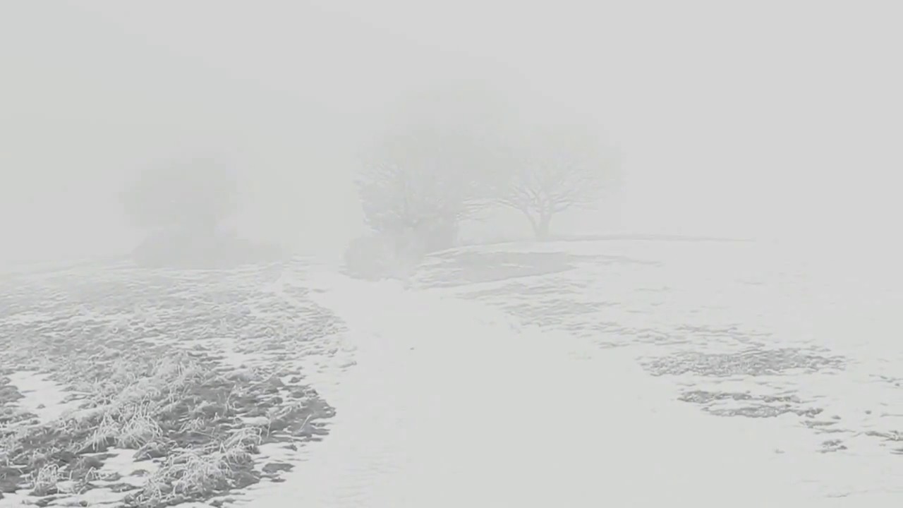 Creepy Snow Landscape Fog - Horror Winter Scene