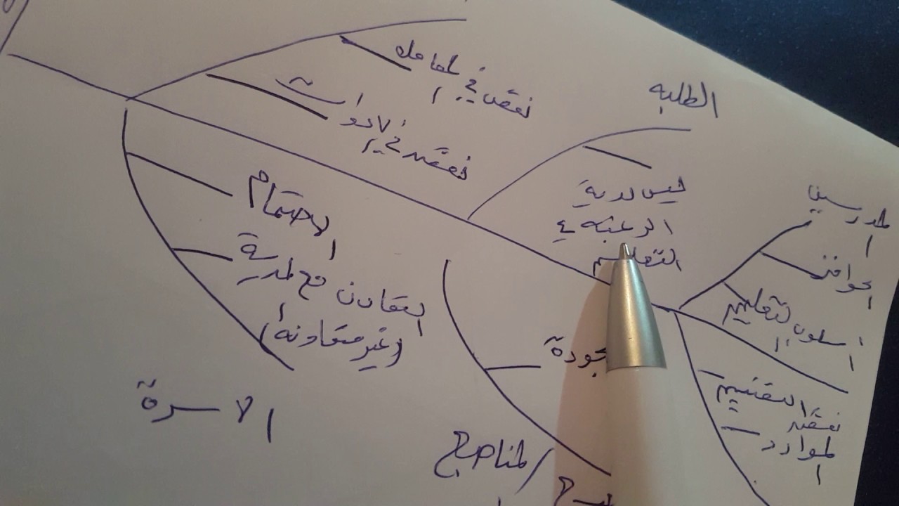 شرح نموذج ايشيكاوا (هيكل السمكة )3