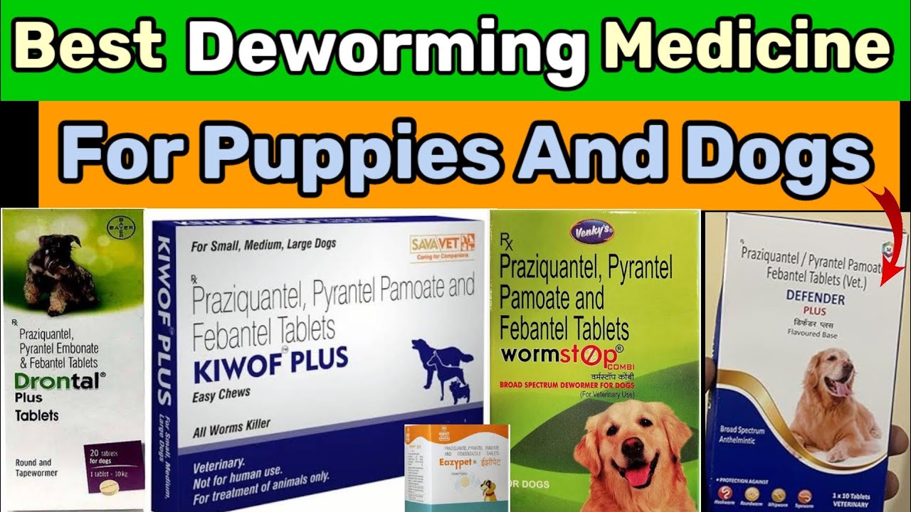 Best Deworming Medicine For Puppy And Dogs !! #deworming #dogcare