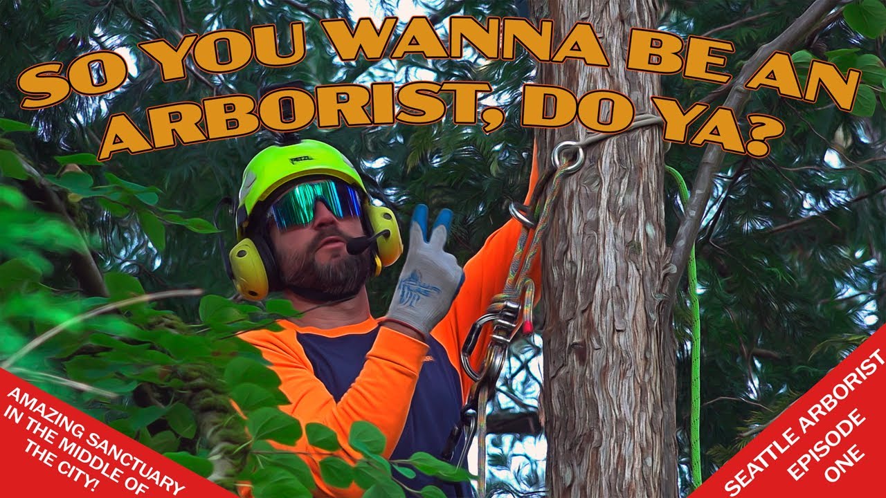 Seattle Arborist - From the ground up.