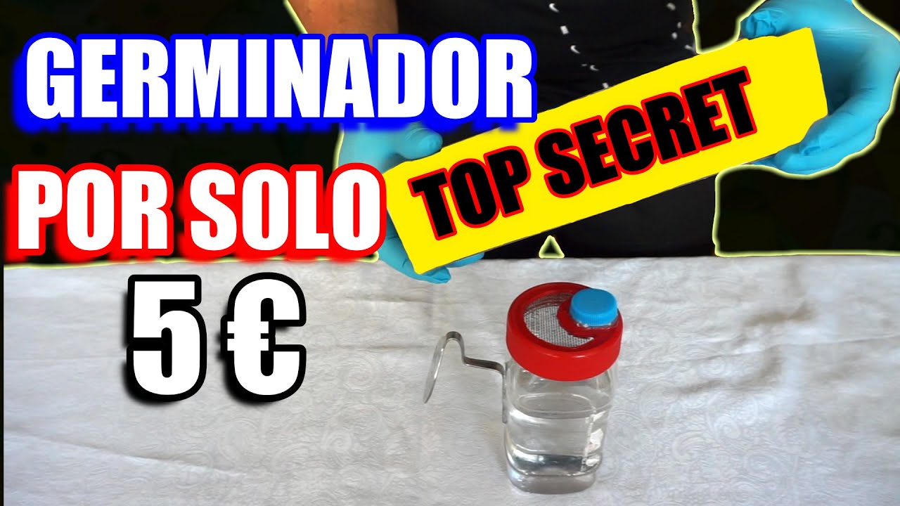 GERMINADOR CASERO ELÉCTRICO POR 5€/GERMINADOR CALEFACTABLE/Truco para germinar en menos tiempo😱