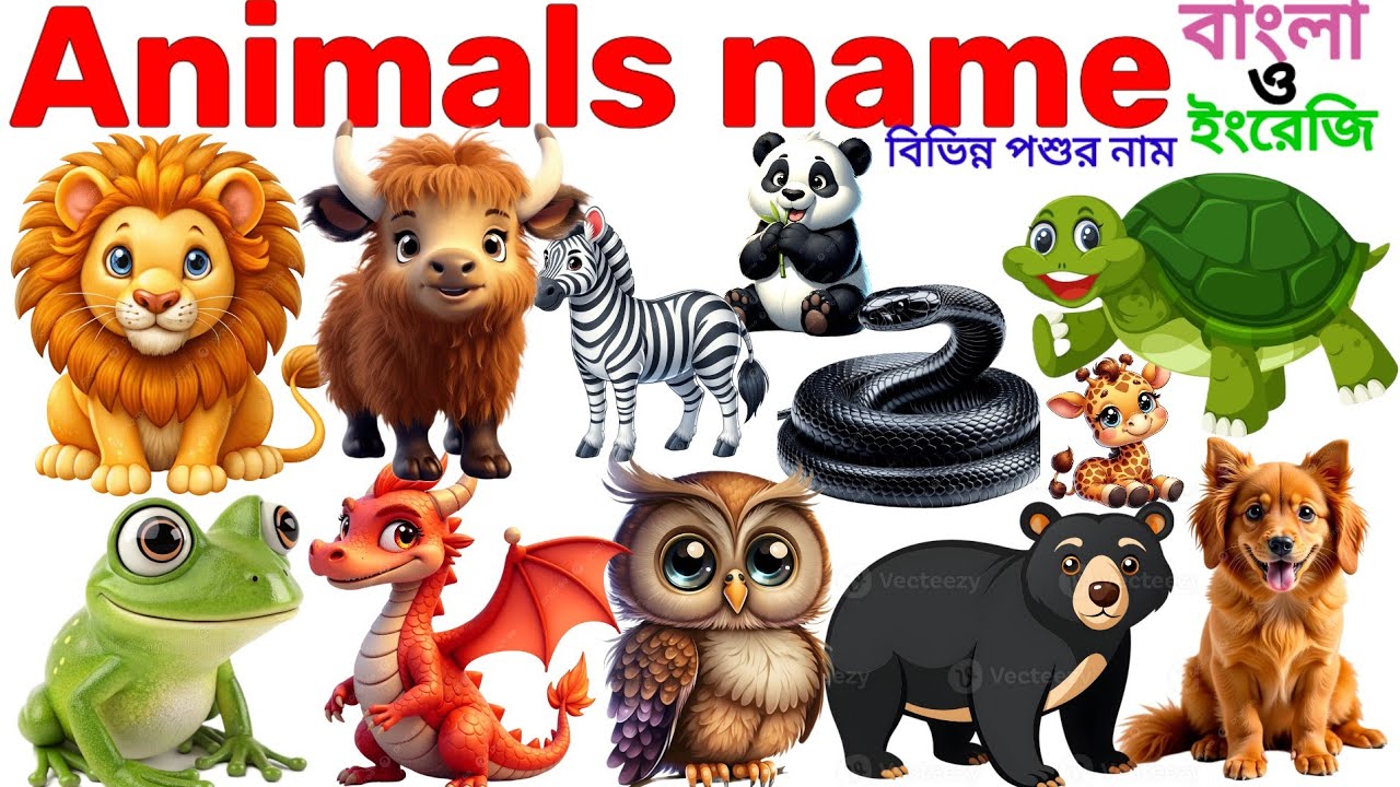 Animals Name 🐯🐕| Animals Name in Bengali to English With Pictures | Animals Name for Kids | Animals