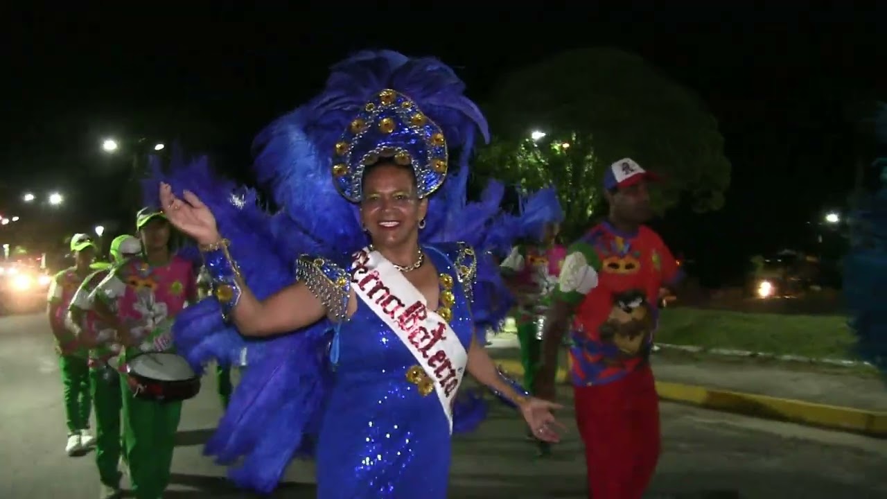 CARNAVAL CALLEJERO 2026 TS 1204