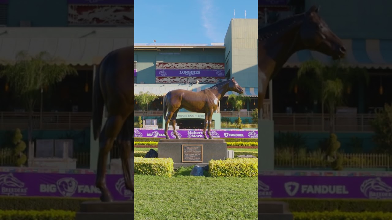 40th running of the Breeders&rsquo; Cup 🇺🇸 | M3 Media