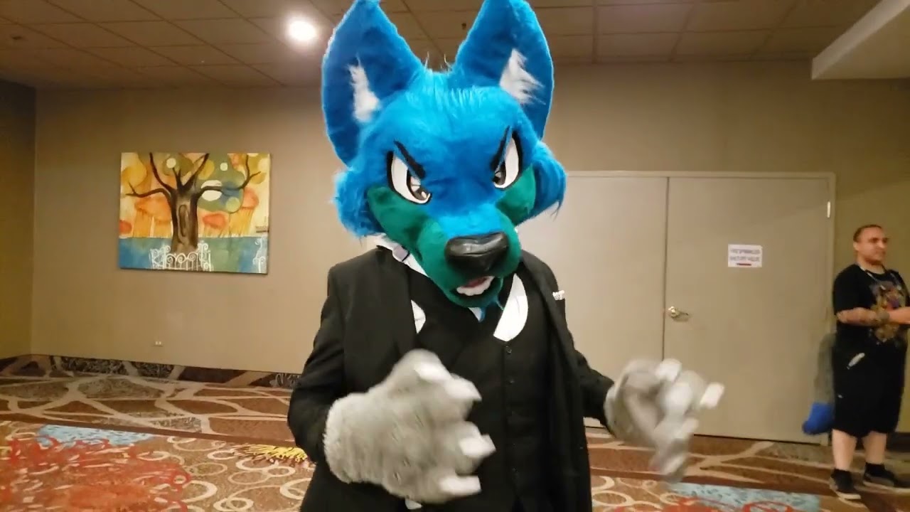 BLFC 2022 Compolation