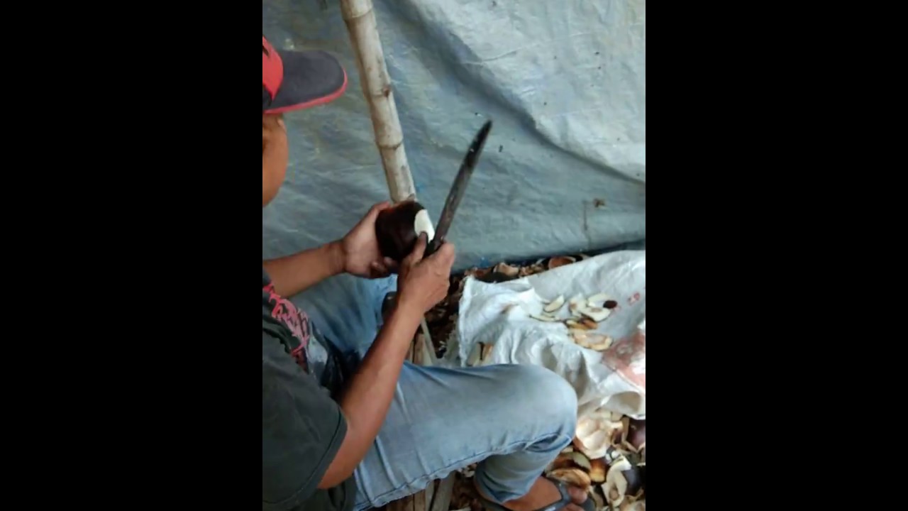 ES SIWALAN | BUAH SIWALAN (ENTAL)