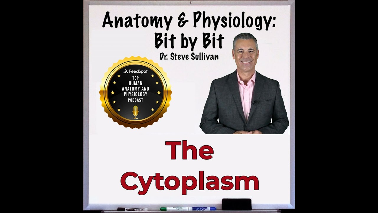 REBOOT: The Cytoplasm of the Human Cell (Episode 5)
