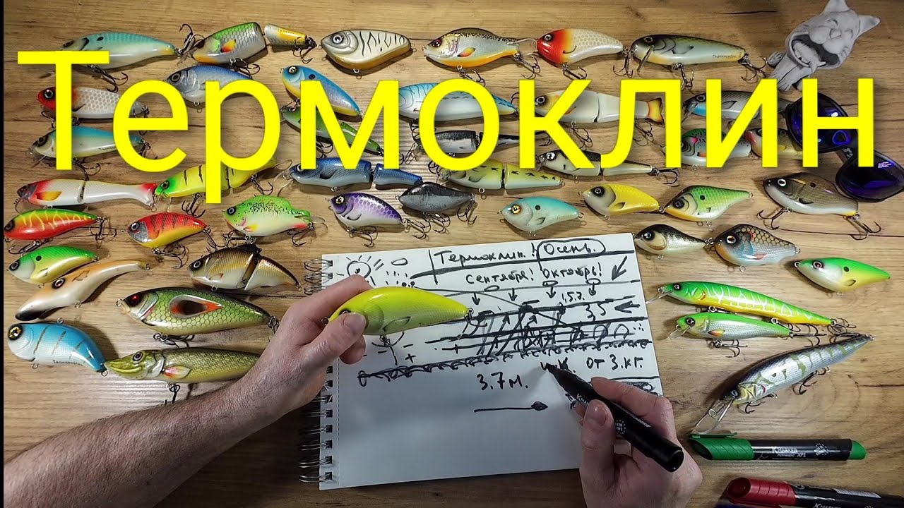 Что такое Термоклин?