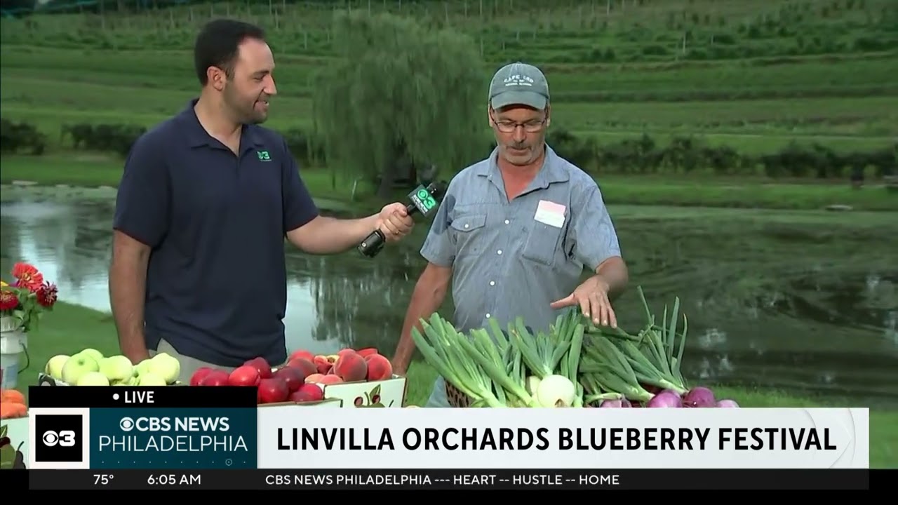 Ross DiMattei from CBS3 talks to Farmer Norm at Linvilla’s Blueberry Festival - July 12, 2025