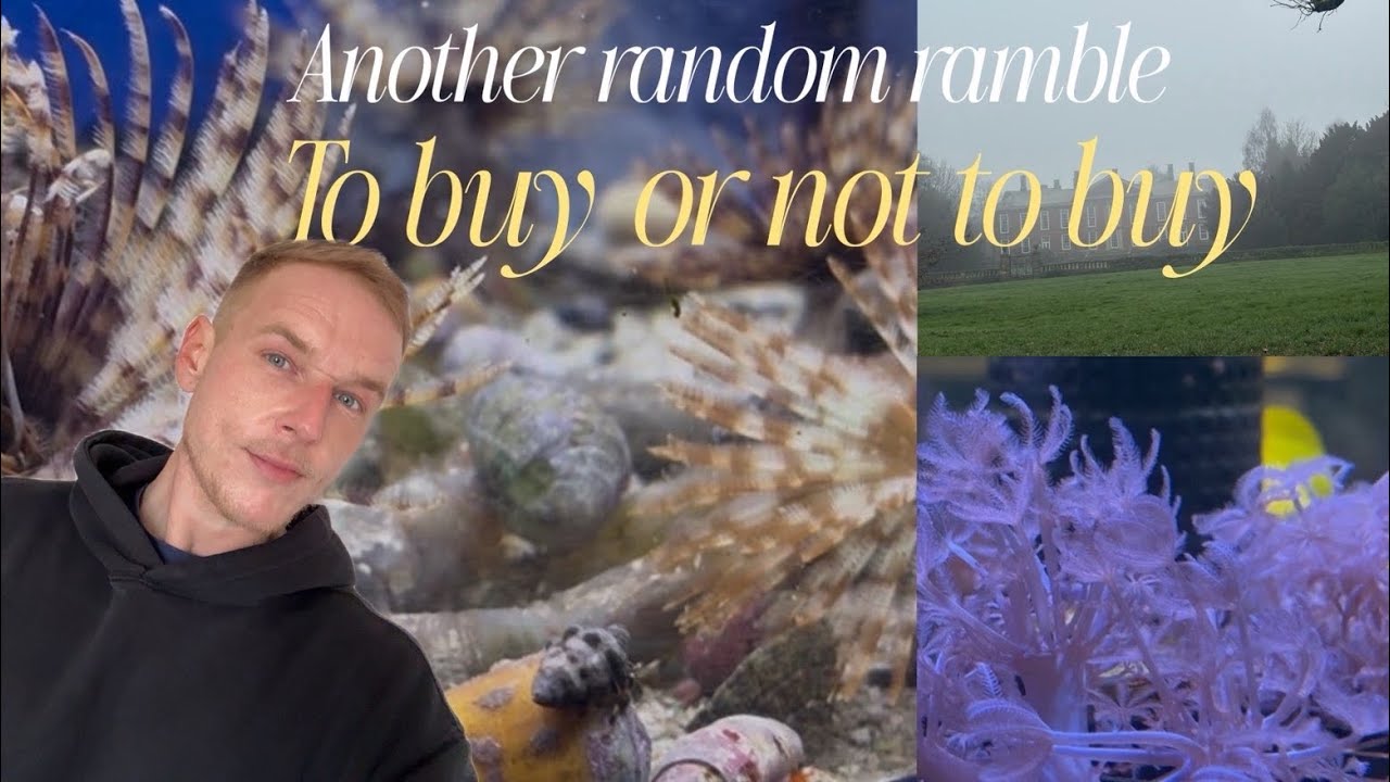 To buy or not to buy? 👀🐠✨ The random ramble edition🤪✨