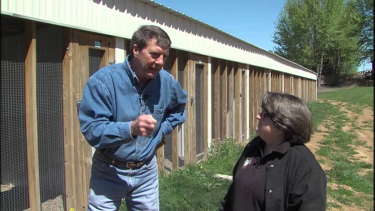 Illinois Stories | Raptor Center Spring 2015 | WSEC-TV/PBS Springfield