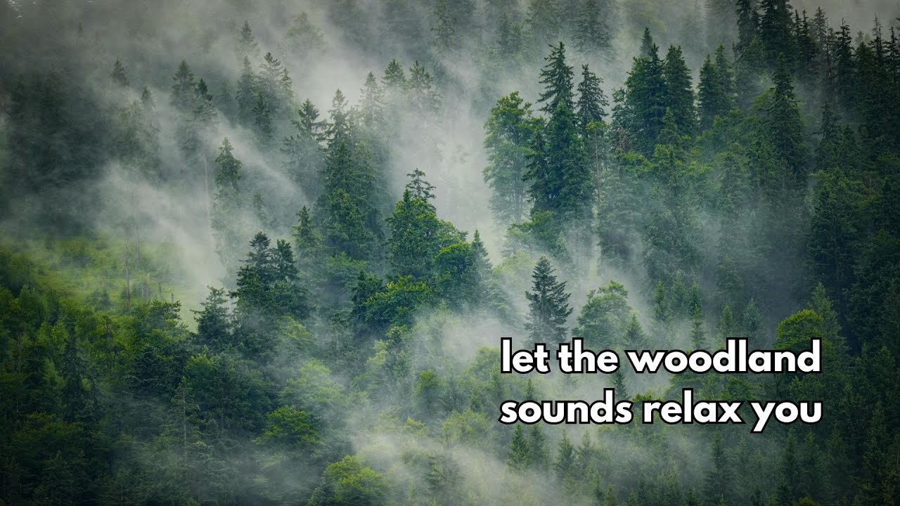 Relaxing Music with Forest and Nature sounds | Sleep Music 432 hz