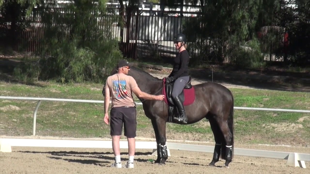 Ride an Accurate 20 Meter Circle Using Cones to Help