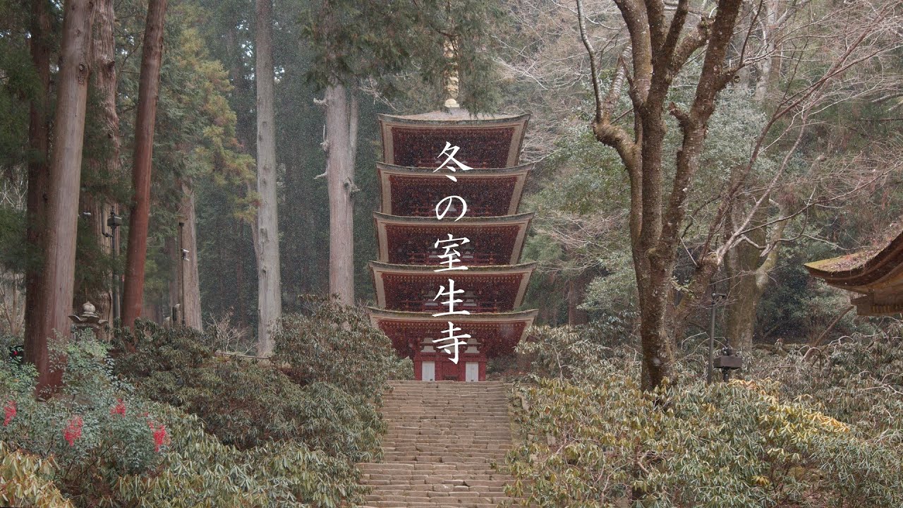 冬の室生寺 : Murō-ji Temple in Winter | A Hidden Buddhist Sanctuary (Nara, Japan)