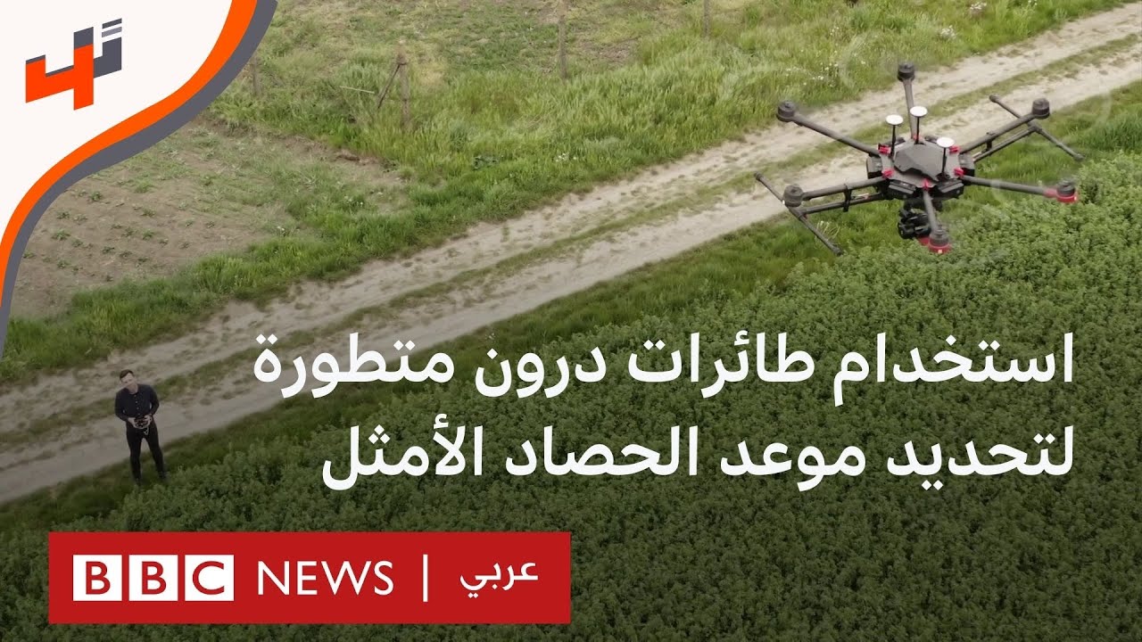 طائرات درون تكشف صحة النباتات والوقت الأنسب لحصادها