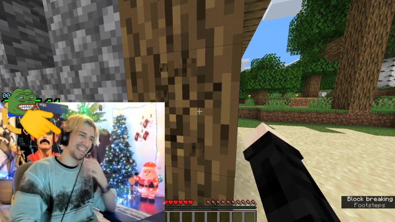 xQc смеётся над доно, который поджаривает предыдущего доно