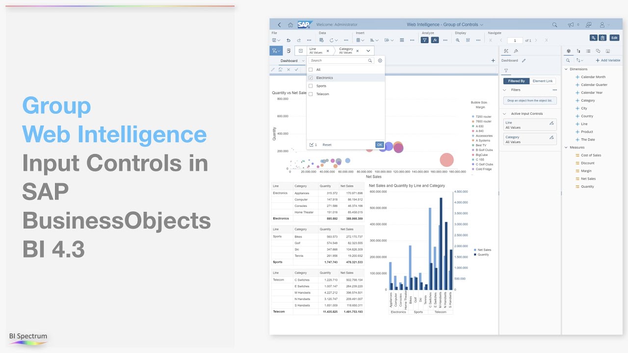 Group Web Intelligence Input Controls in SAP BusinessObjects BI 4.3 - BI Spectrum Academy