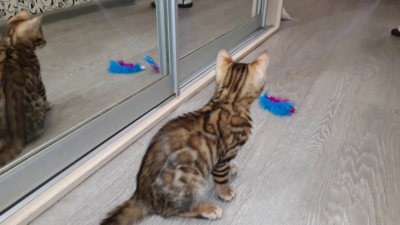 20181204 161053