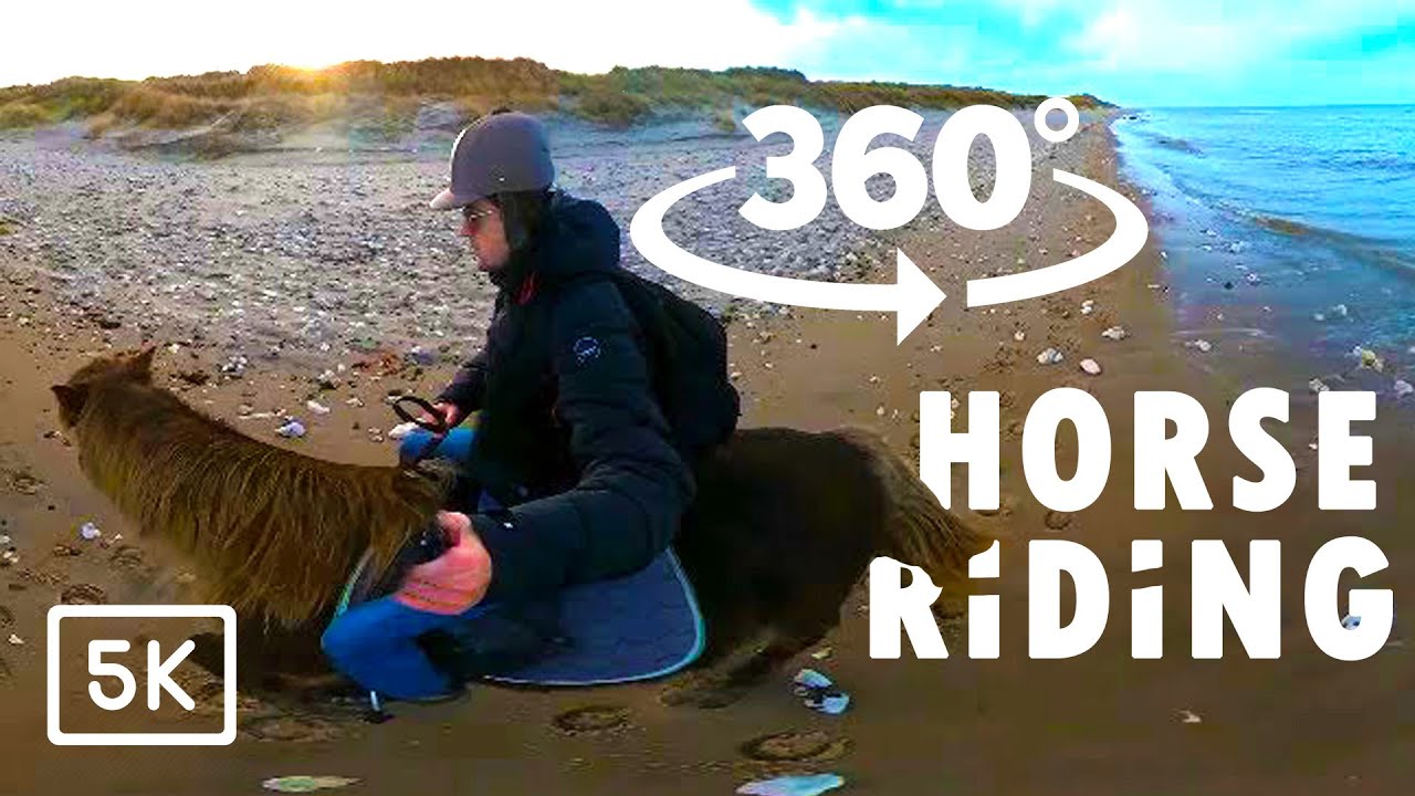 Horse Riding in 360° VR