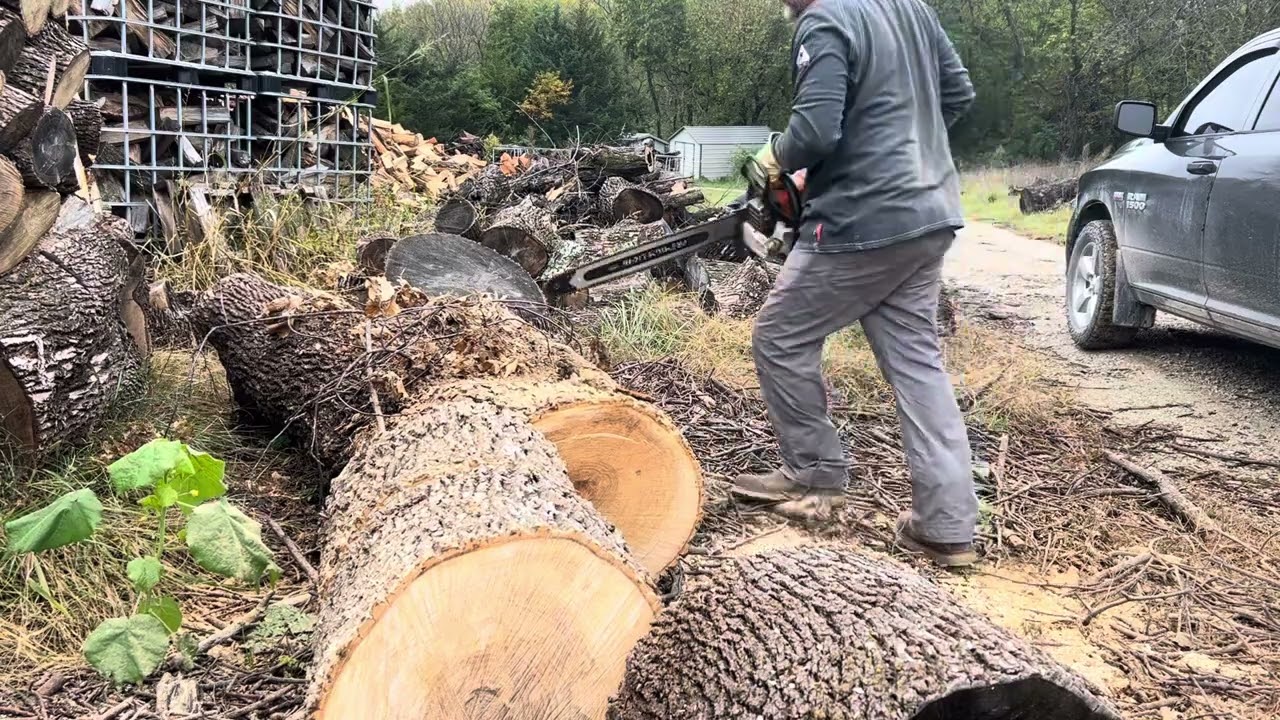 Ported stihl ms400C cutting ash