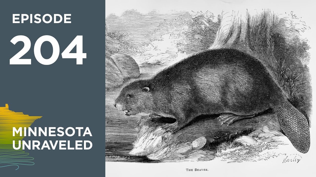 Beaver Tales: From Minnesota’s Ice Age to Today