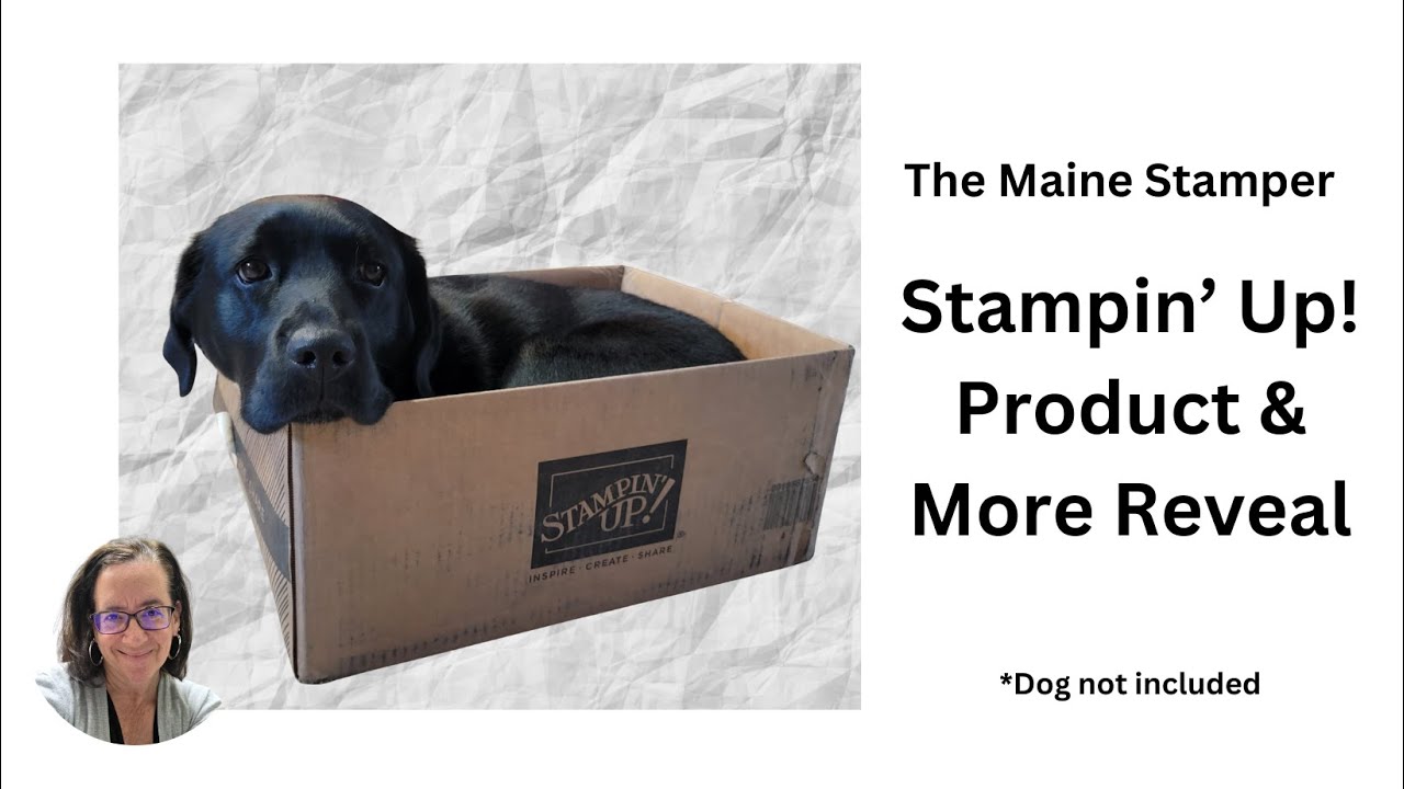 Stampin' Up! Product Reveal