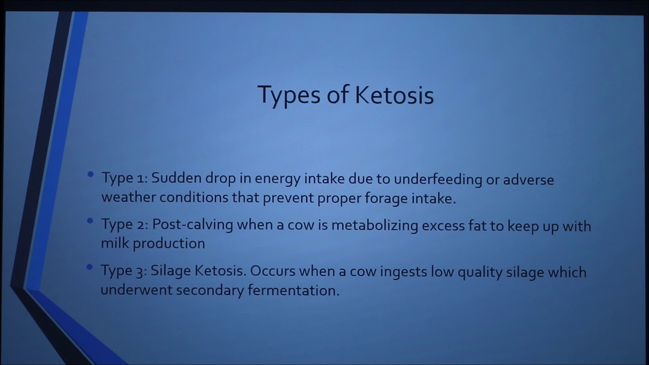 Ketosis in Dairy Cattle (2018)