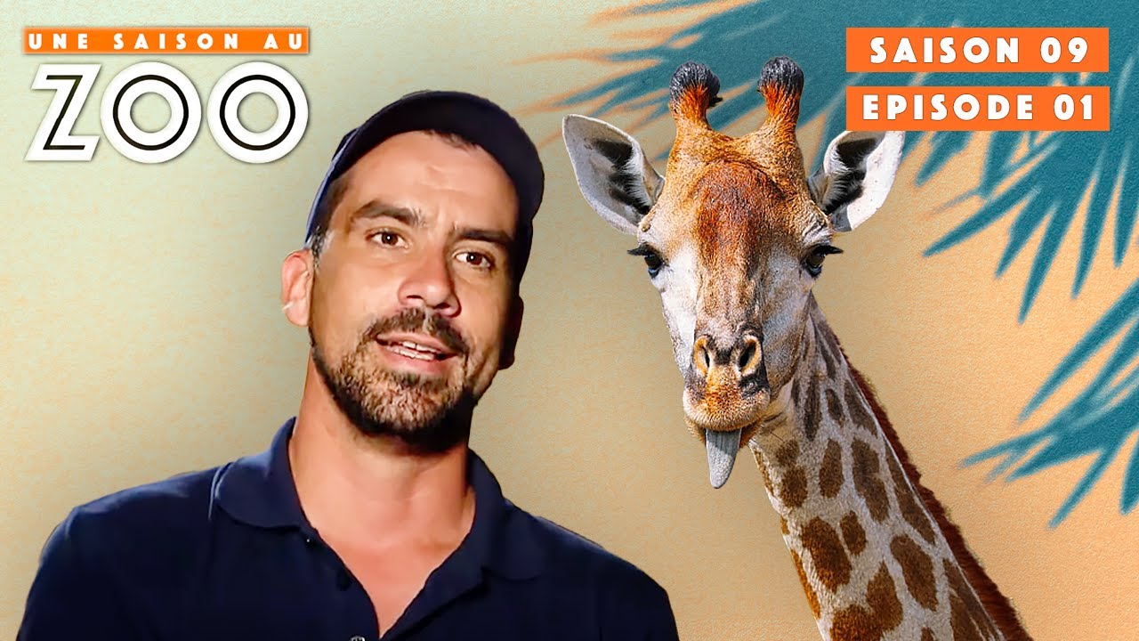 24H au ZOO : Les Soigneurs vous emmènent en Coulisses | S09 EP01 | Une Saison Au Zoo
