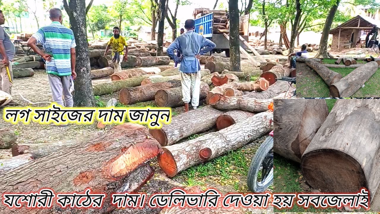 বাংলাদেশে কাঠের দাম। wood business in Bangladesh I বাংলাদেশে কাঠের ব্যবসা