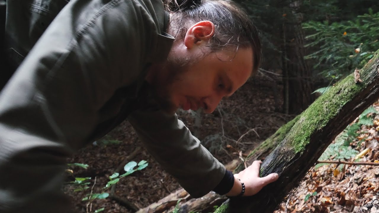 Piotr Grząślewicz - Sen zimowy