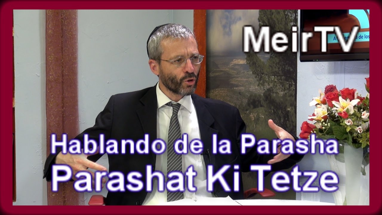 Parashat ki tetze 5775 - Hablando de la parasha