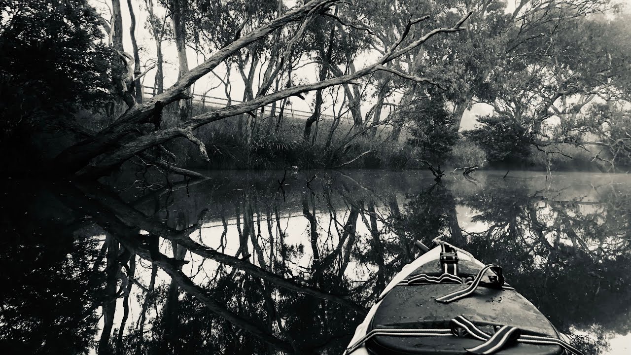 Friday Fog #kayak #kayaking #kayaklife #miragekayak #geelong #barwonriver #vanlife