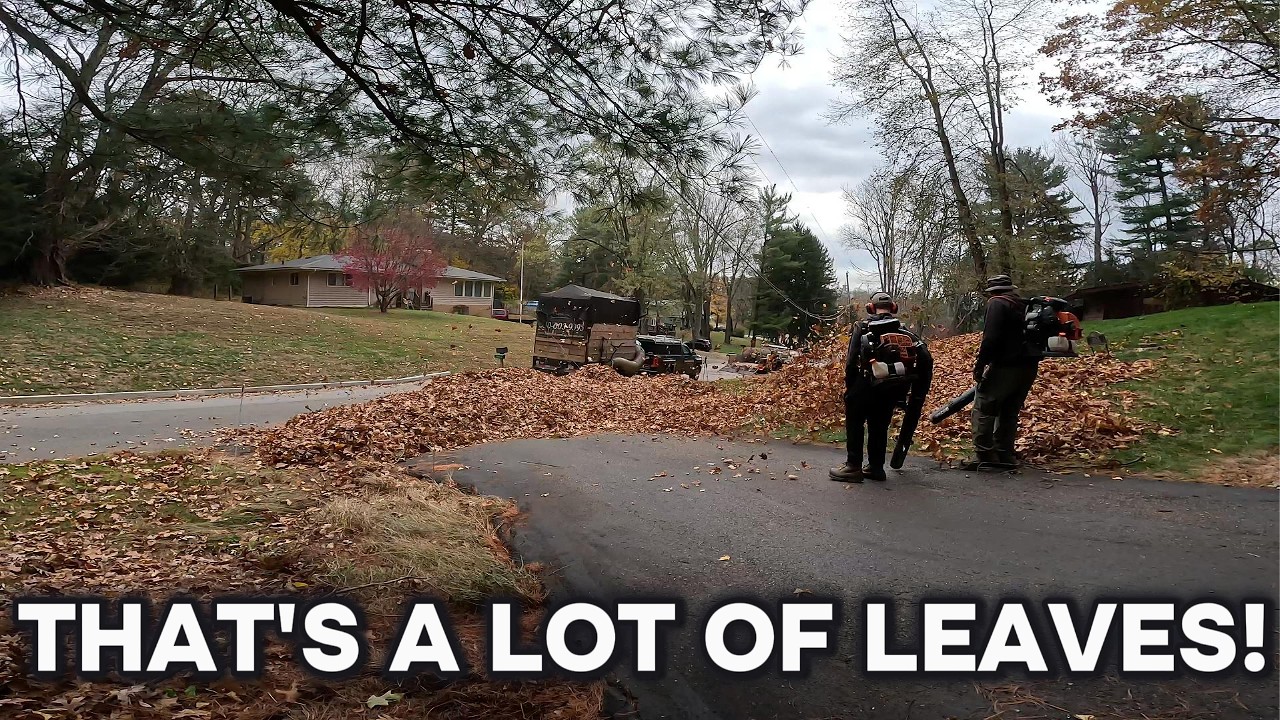 Fall Leaf Cleanup || STEEP Hillside Cleanup With A 2 Man Crew