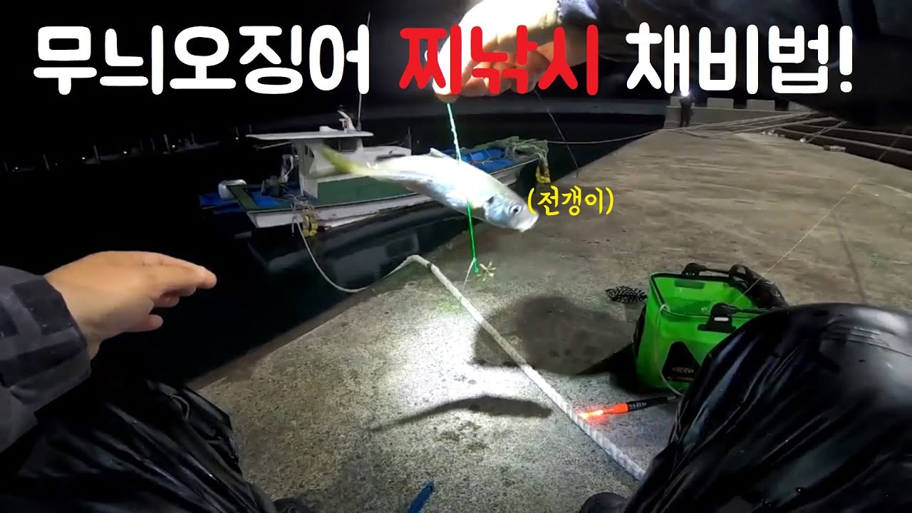 시원한 입질한방! 제주도 살아있는 전갱이(각재기)를 이용하여 무늬오징어를 노리다! 무늬오징어 찌낚시 채비법!